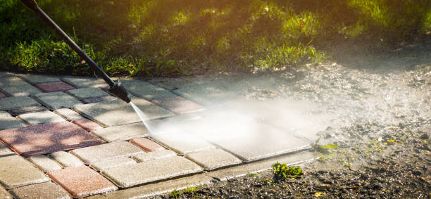 Best Residential Exterior Washing  in Alice, TX